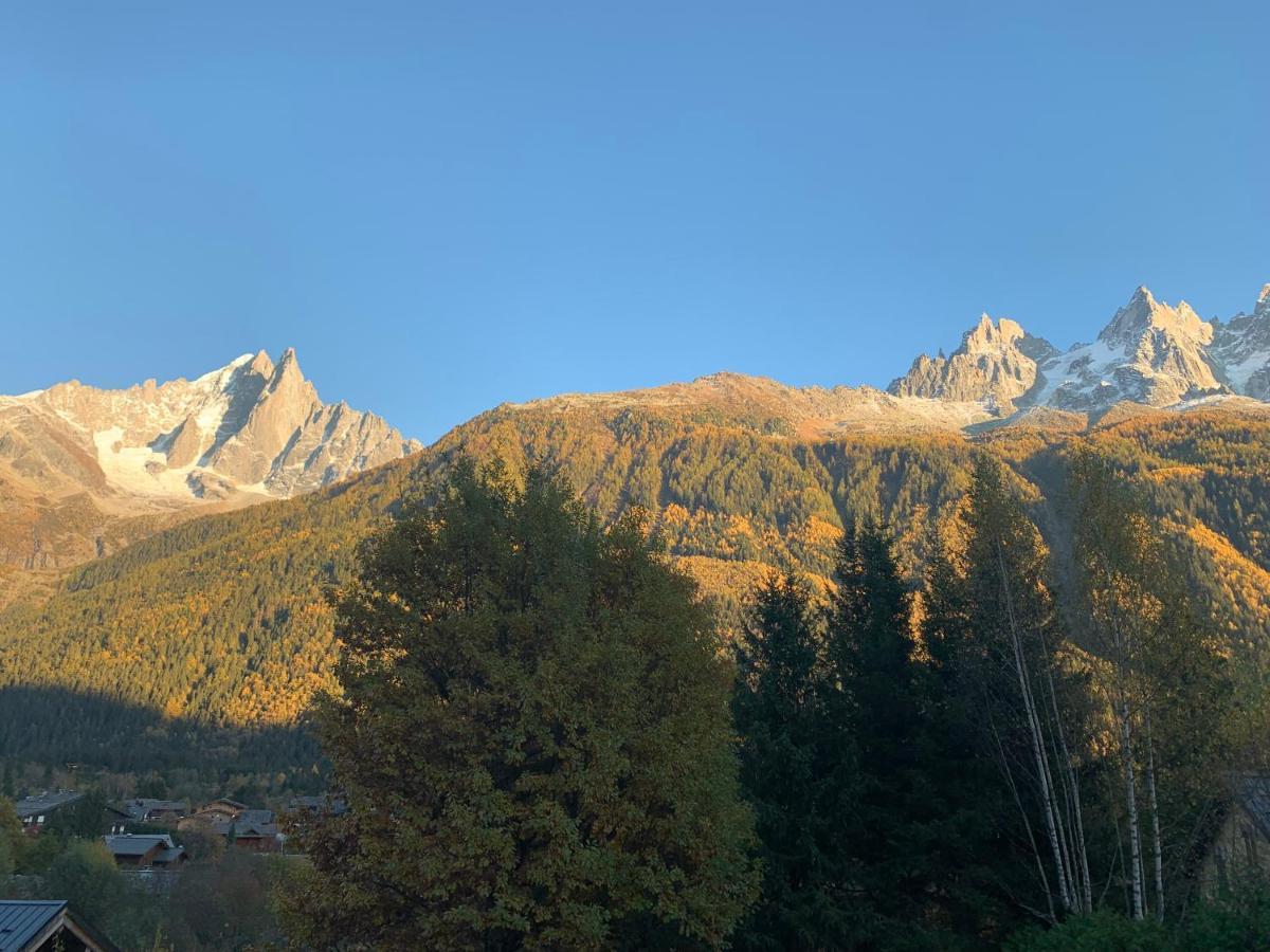 Chalet Le Point De Vue Chamonix Exterior foto